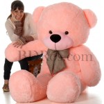 6fit store teddy bear